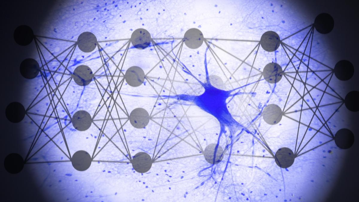 La teoría sobre la computación de la inteligencia artificial se encalla en la práctica