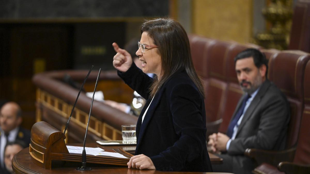 El Congreso tumba los intentos de PP y VOX de frenar la reforma de la ley mordaza