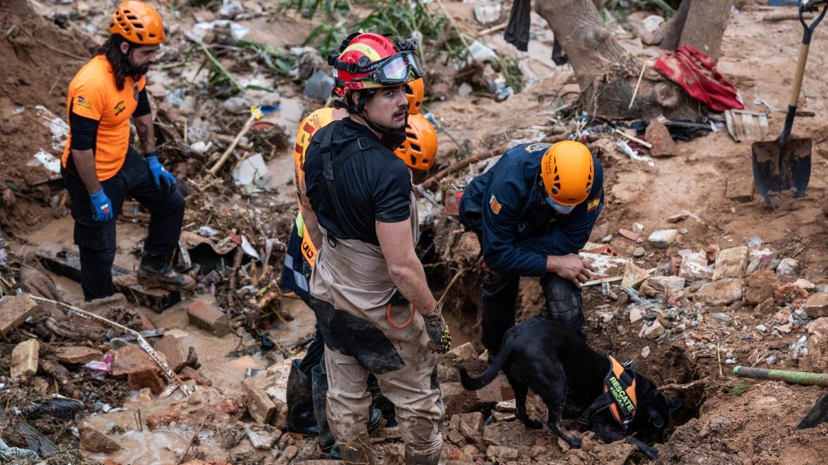 Los colegios de València recibirán el curso próximo formación en emergencias y desastres